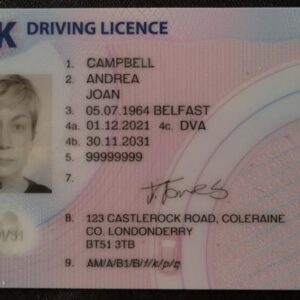 Buy UK Driving Licence Online