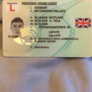 Buy UK Provisional Driving Licence Online