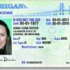 Buy Ann Arbor Driving License in Michigan