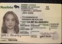 Buy Brandon Driving License in Manitoba