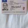 Buy Irish Driving License in Ireland