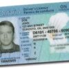 Ontario Driving License