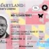Buy Silver Spring Driving License in Maryland USA