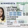 Buy St. Paul Driving License in Minnesota
