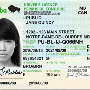 Buy Steinbach Driving License in Manitoba