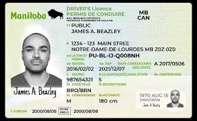 Buy Thompson Driving License in Manitoba