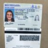 Grand Rapids Driving License in Michigan