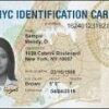 Buy Albany Driving License in New York