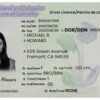 Buy Newfoundland and Labrador Driving License Online