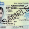 Buy Amherst Driving License in Nova Scotia