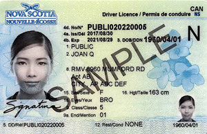Buy Amherst Driving License in Nova Scotia