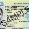 Buy East Hants Driving License in Nova Scotia