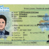 Buy Truro Driving License in Nova Scotia