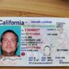 Buy Anaheim Driver's License in California