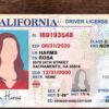 Buy California Driver's License