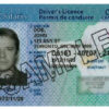 Buy Clare Driving License in Nova Scotia