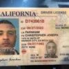 Buy Fontana Driver's License in California