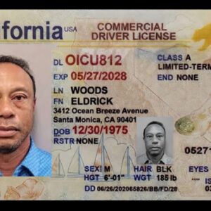 Buy Fresno Driver's License in California