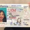 Buy Irvine Driver's License in California