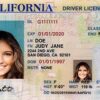 Buy Long Beach Driver's License in California