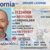 Buy Oakland Driver's License in California