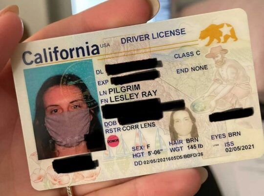 Buy Riverside Driver's License in California
