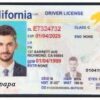 Buy Santa Clarita Driver's License in California